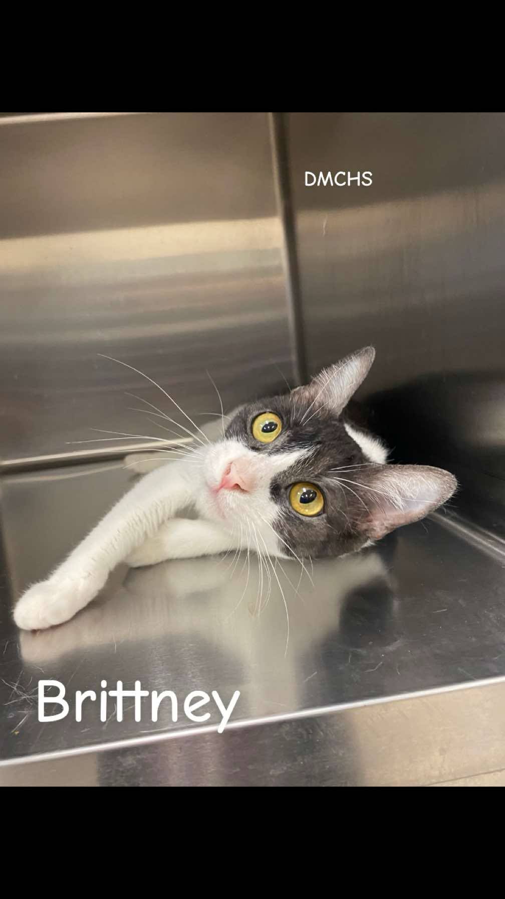 Brittney