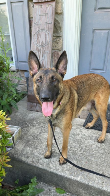 Mae - Located in MD