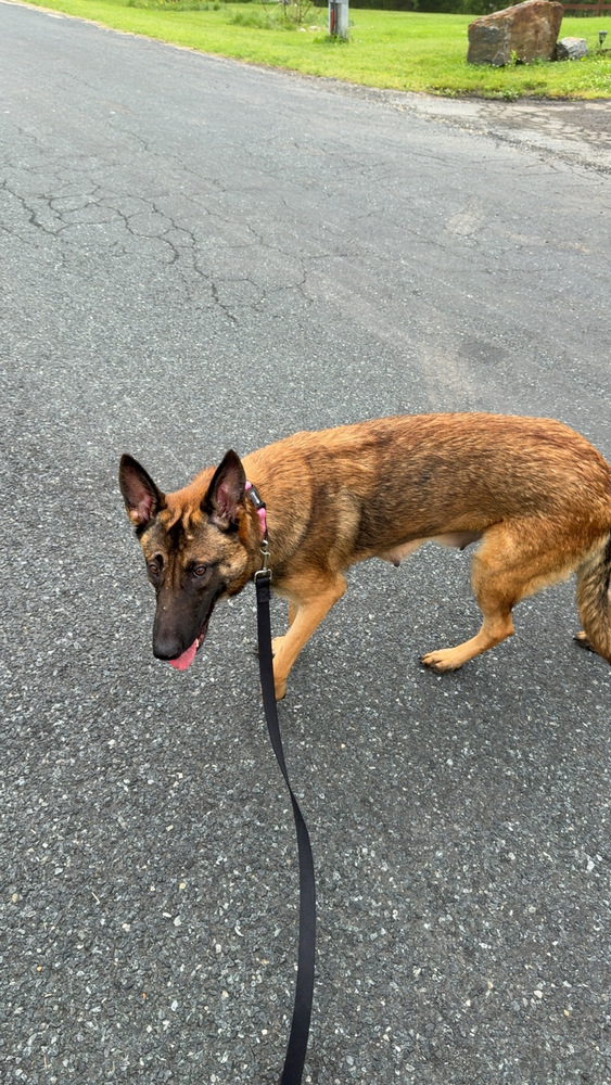 Mae - Located in MD Photo