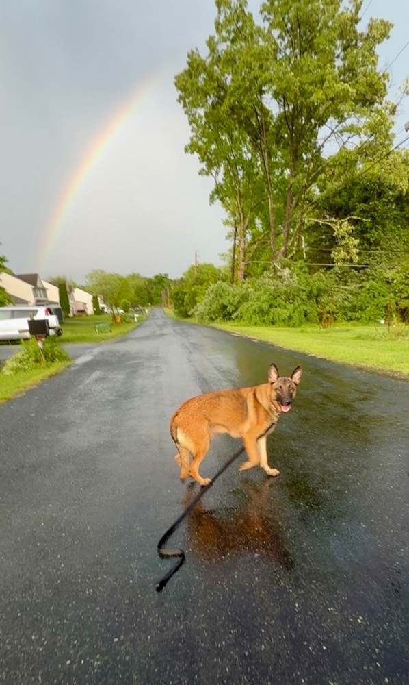 Mae - Located in MD Photo