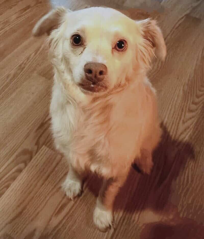 Porter