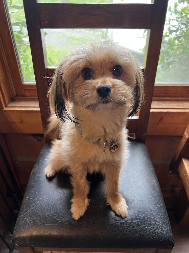 Bailey