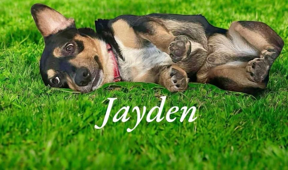 Jayden