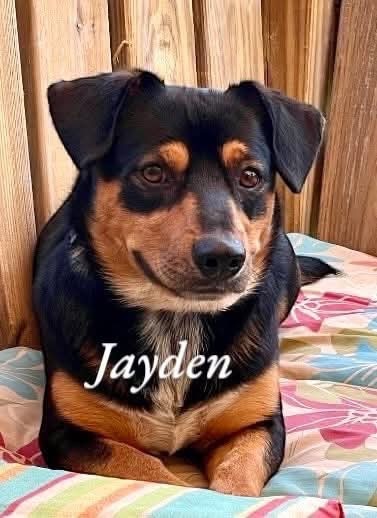 Jayden