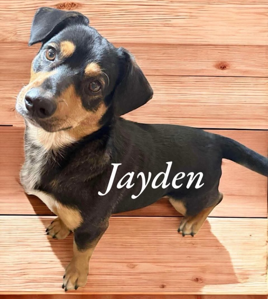Jayden