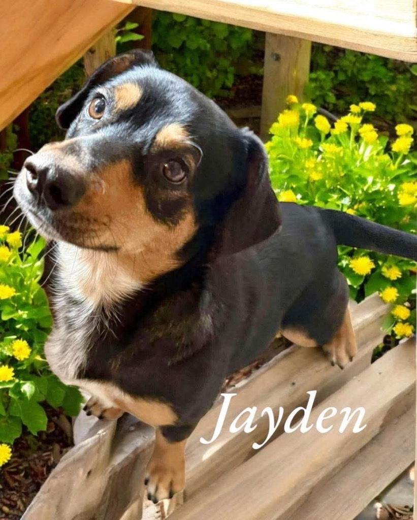 Jayden