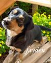 Jayden photo 6