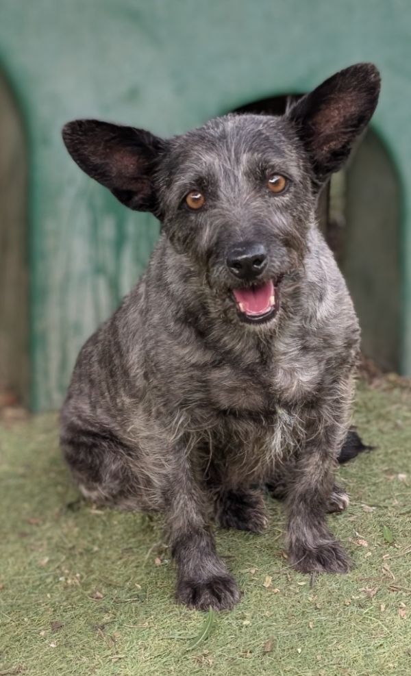 Matilda