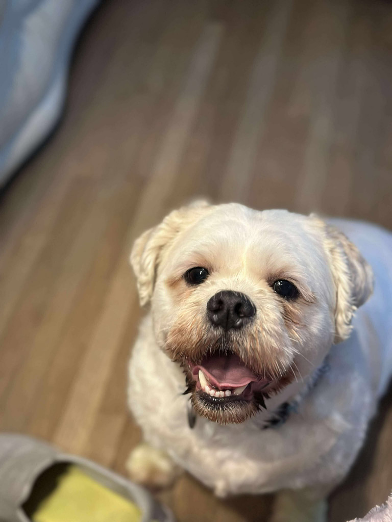 Chewy