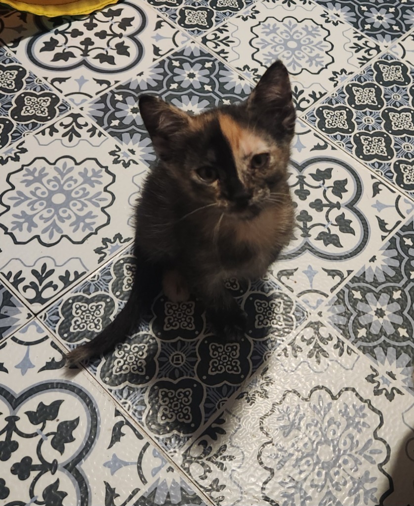 Carmela