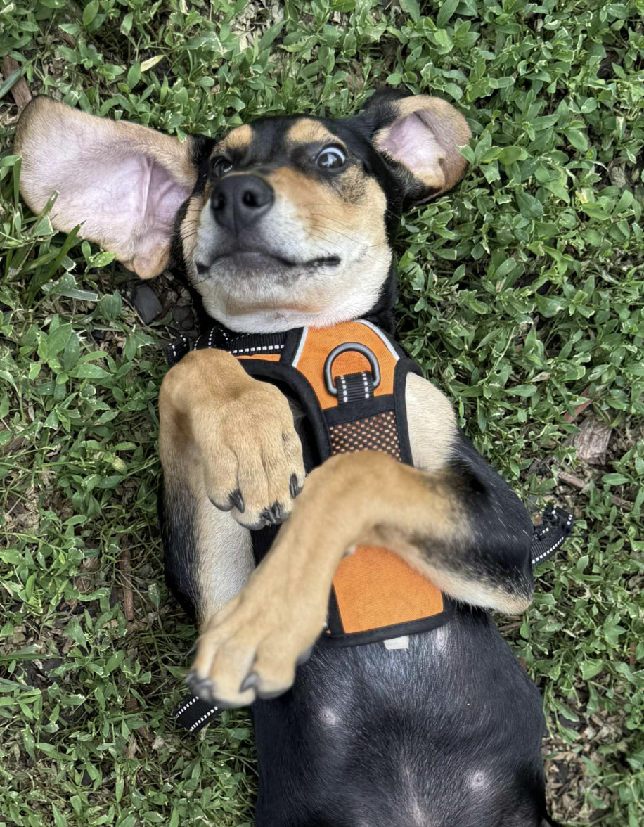 Edison