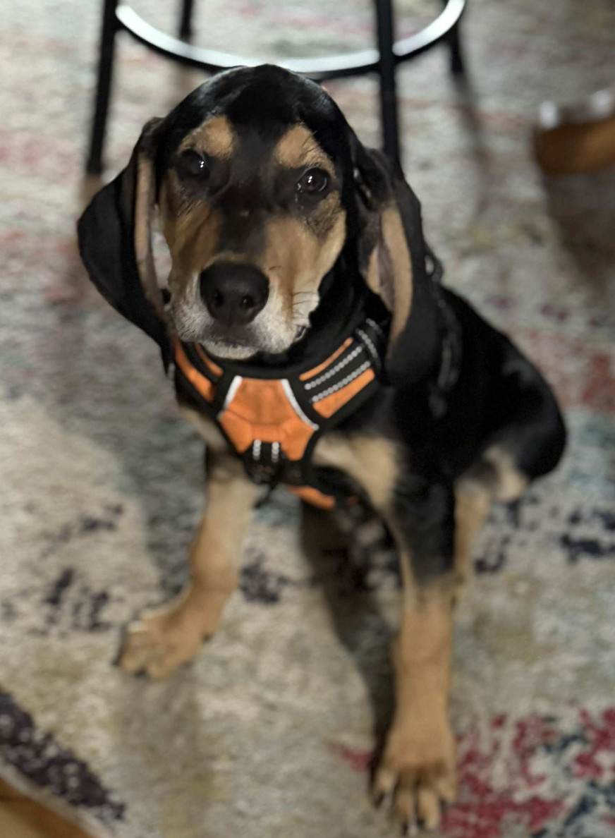 Edison