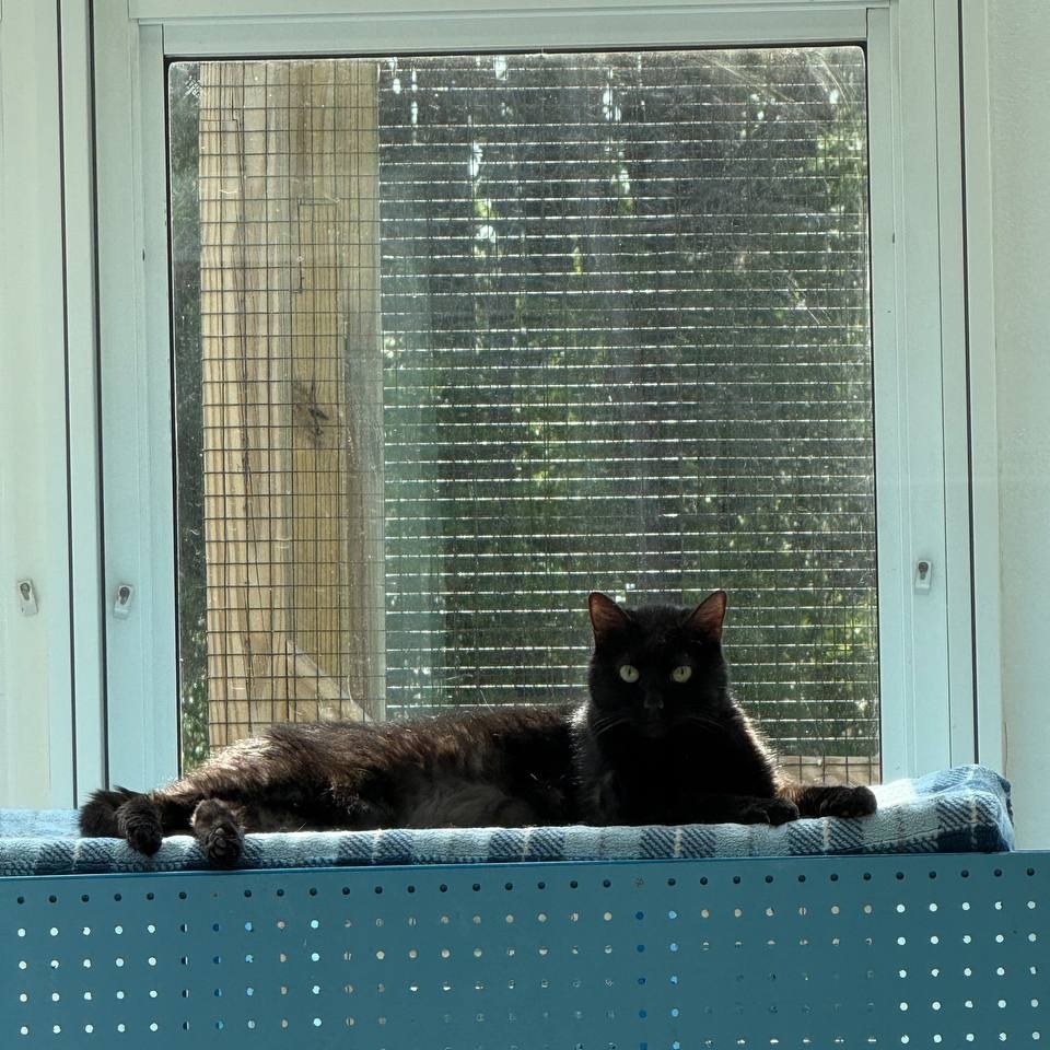 Zeus
