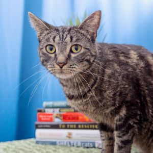 This 3 year-old girl has a beautiful old soul She may come off as shy initially
