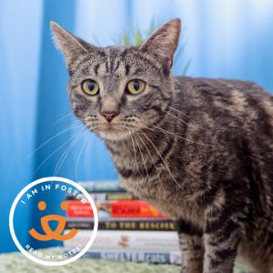 This 3 year-old girl has a beautiful old soul She may come off as shy initially