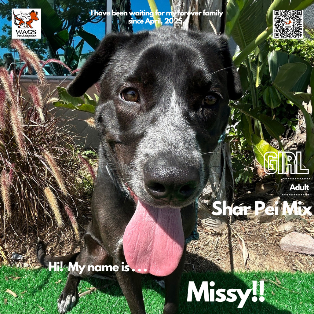 Missy