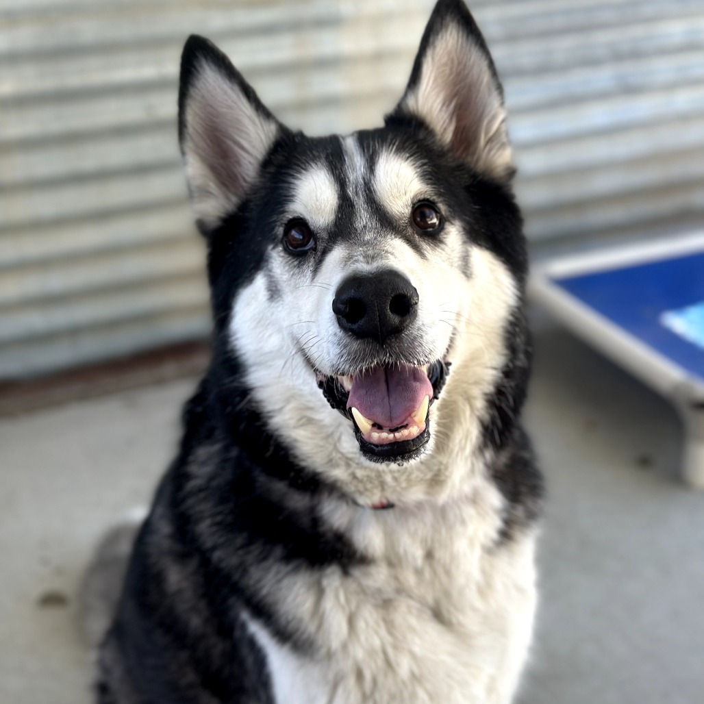 Max