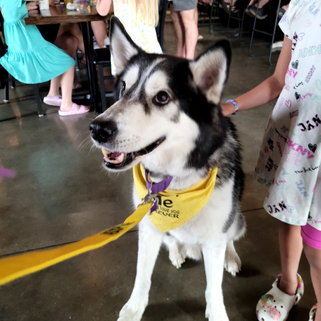 Max