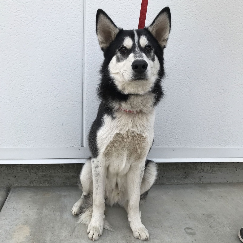 Max