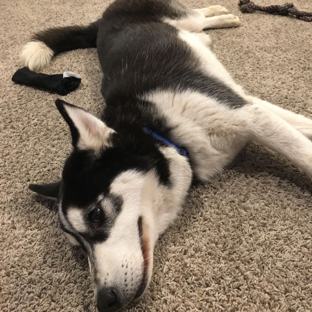 Max