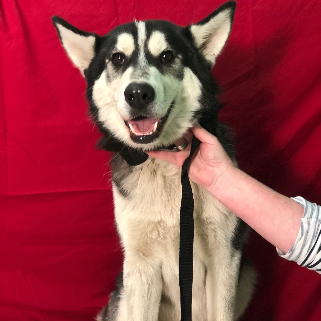 Max