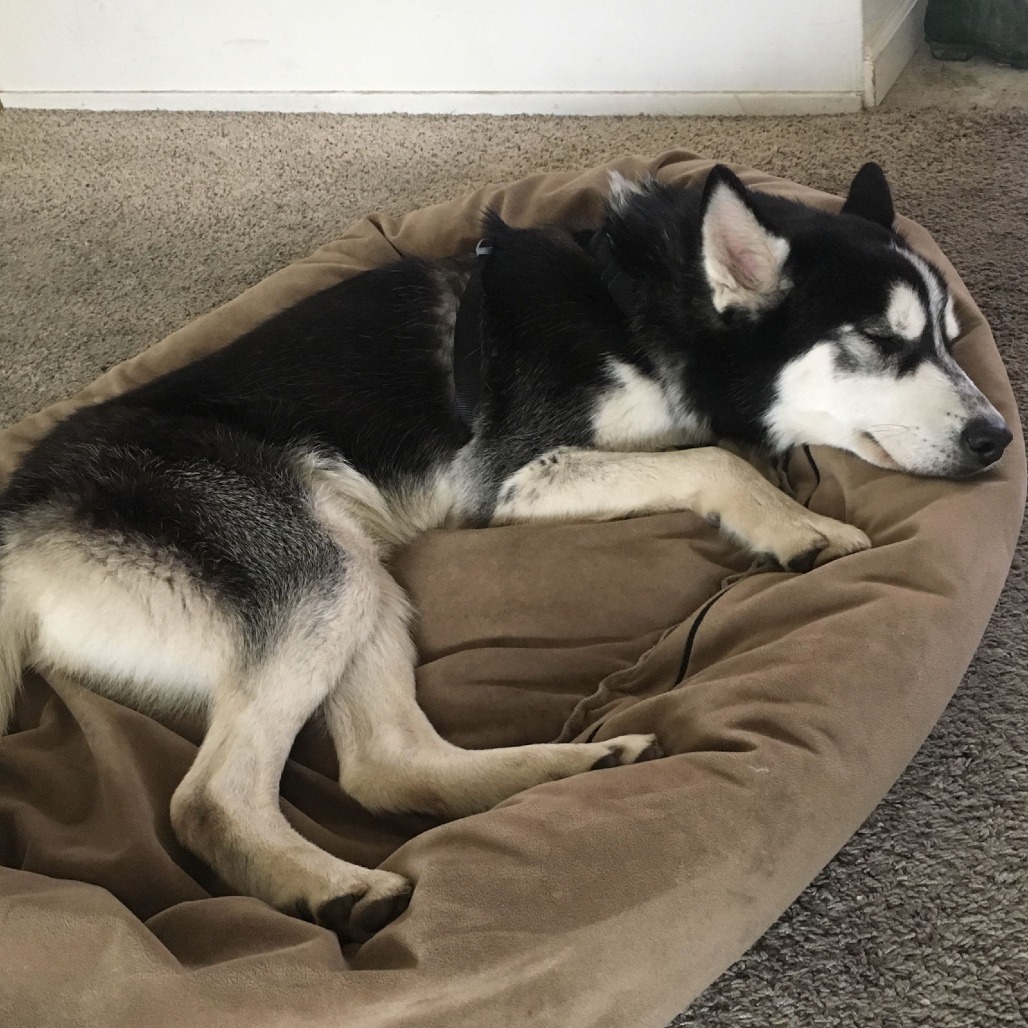 Max