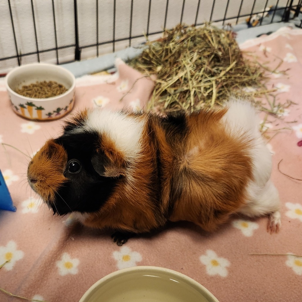 Little Einstein