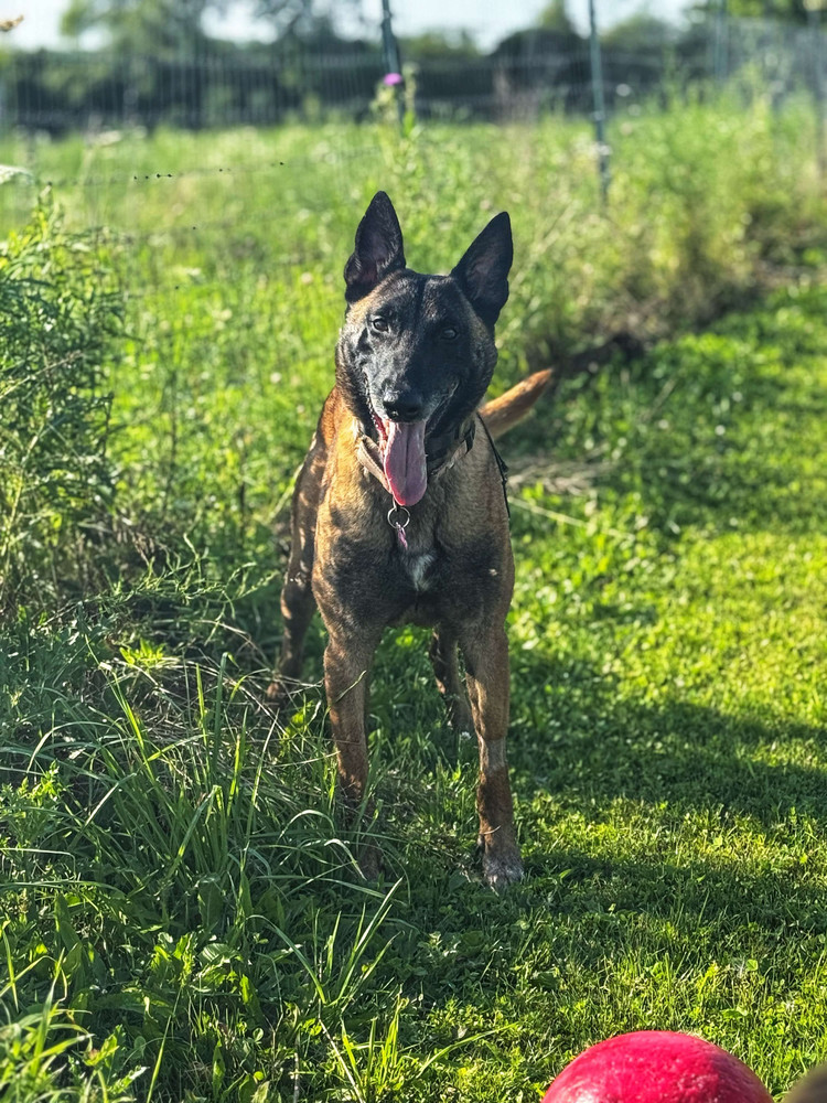 Moxie - located in MI