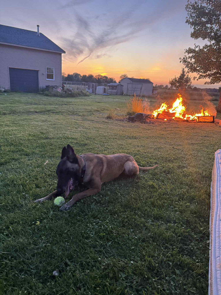 Moxie - located in MI