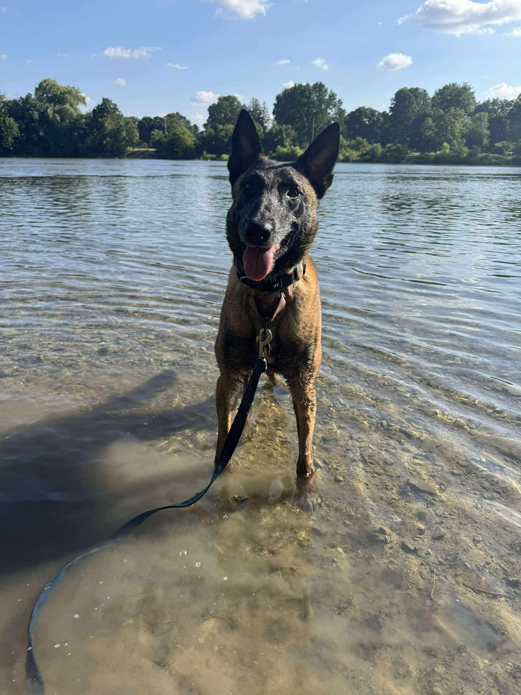 Moxie - located in MI