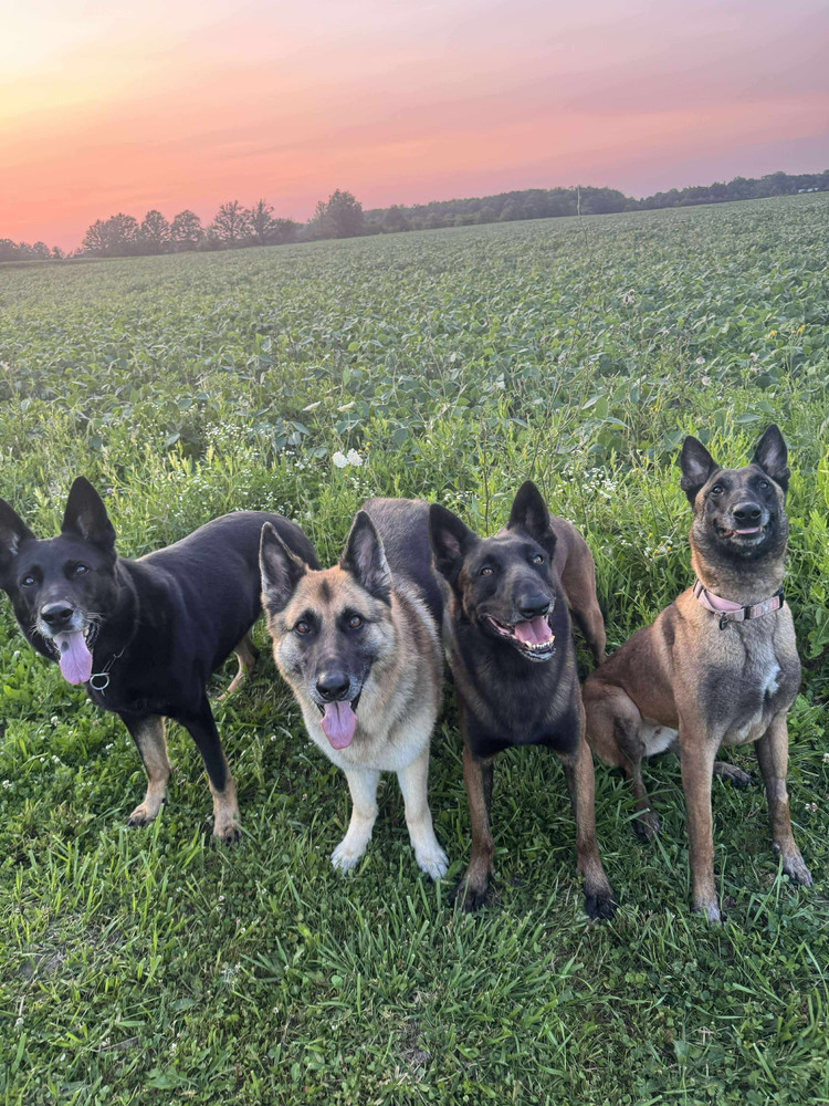 Moxie - located in MI