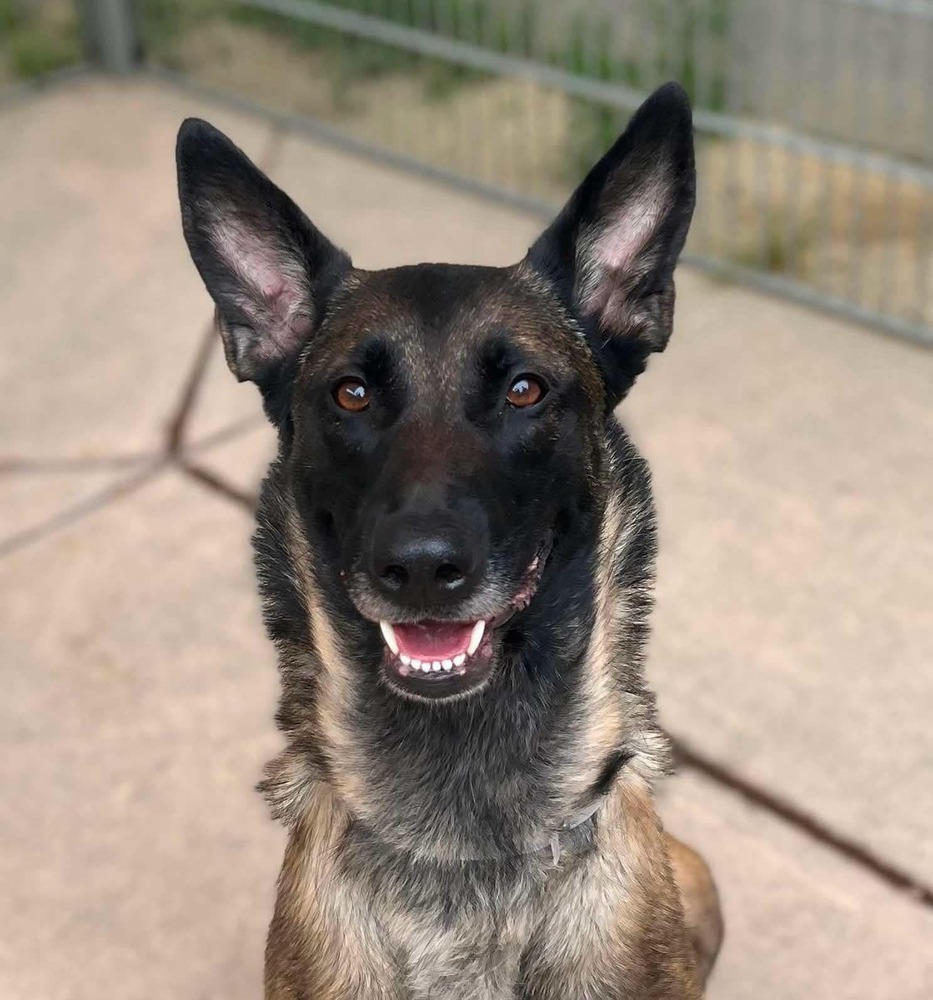 Onyx - Located in KS