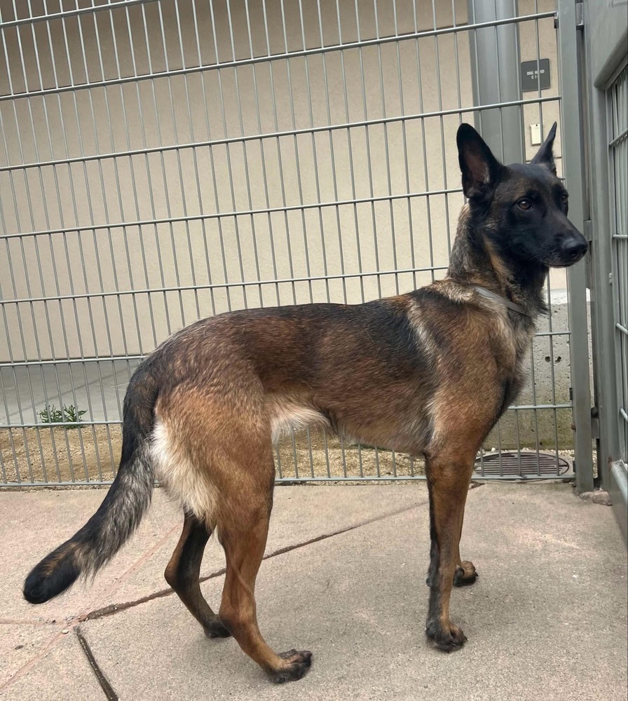 Onyx - Located in KS