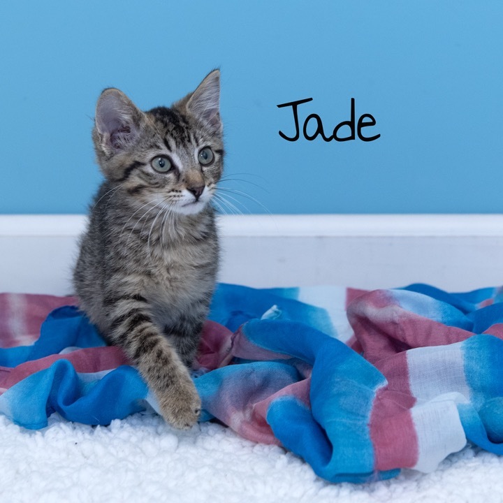 Jade