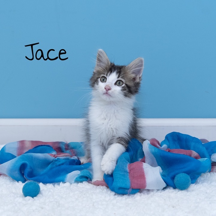 Jace