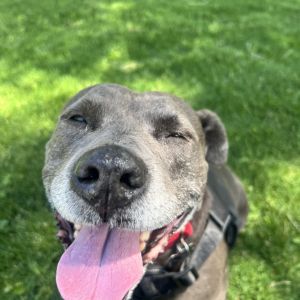 Sky, Senior Female unknown