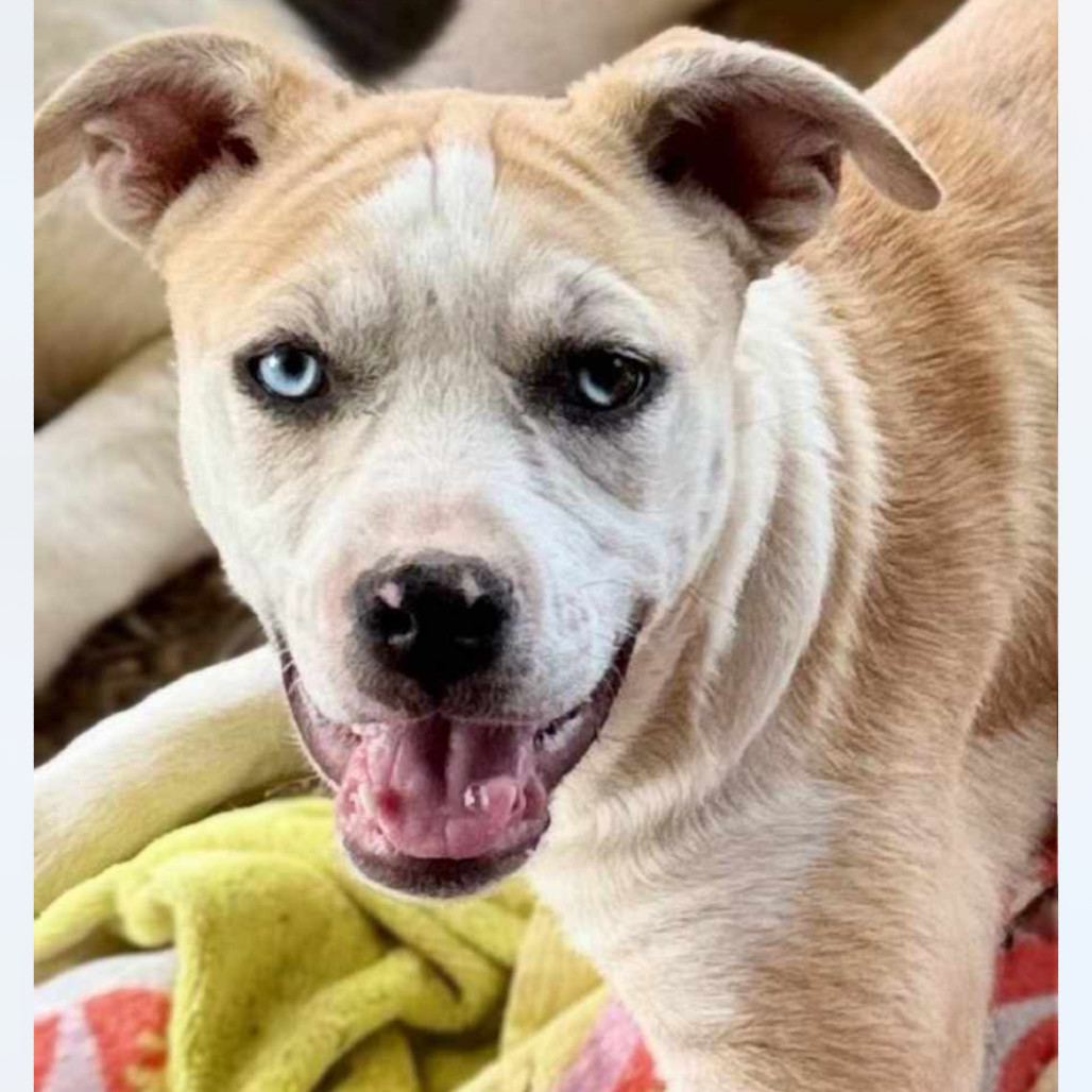 Birdie Mae Tucker