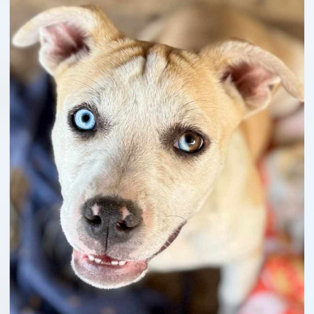 Birdie Mae Tucker