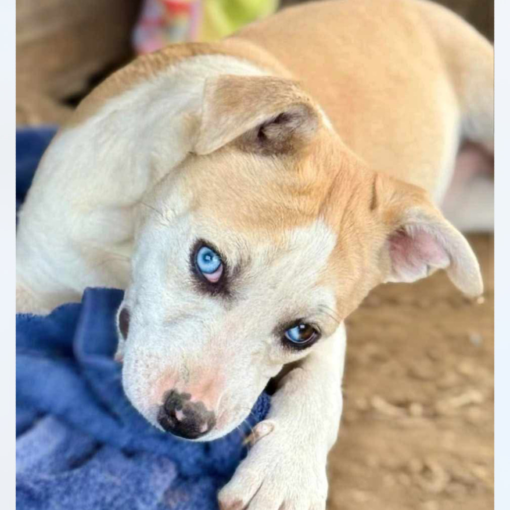 Birdie Mae Tucker