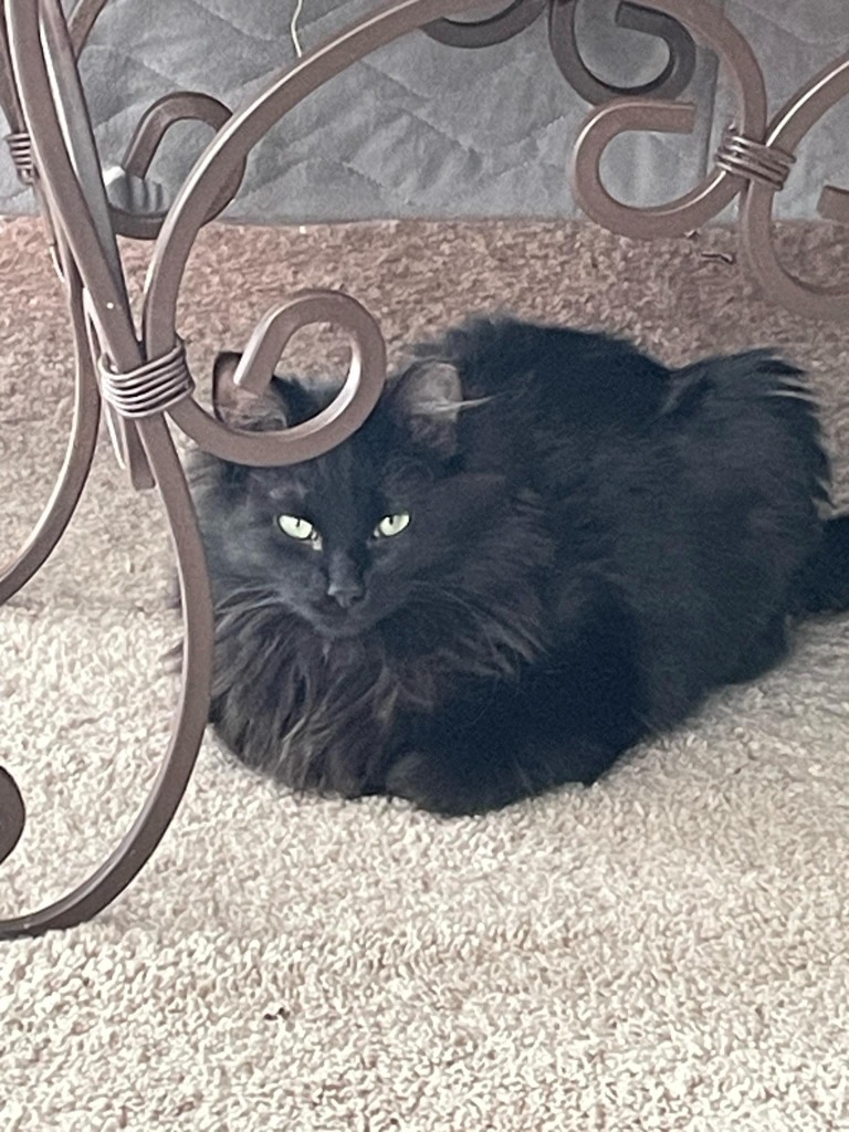 Edison