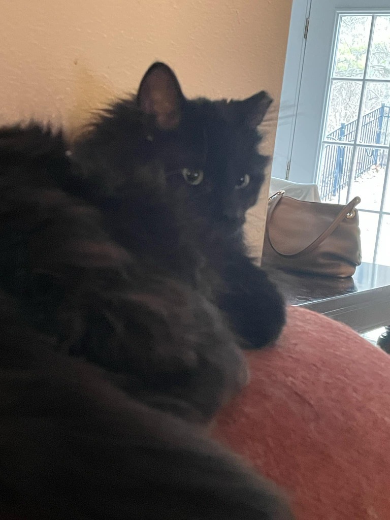 Edison