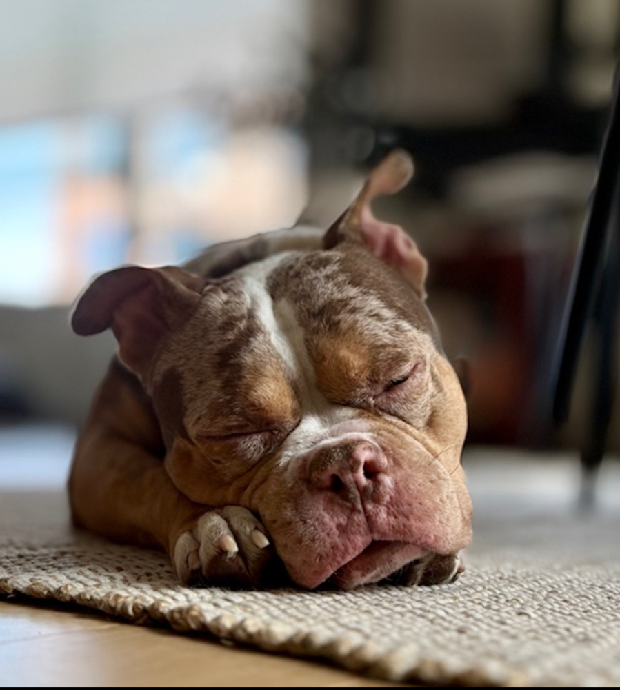 Tyson
