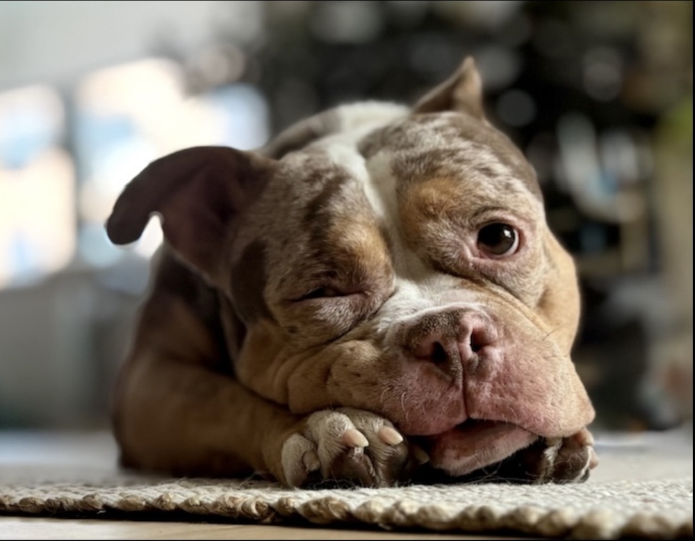 Tyson
