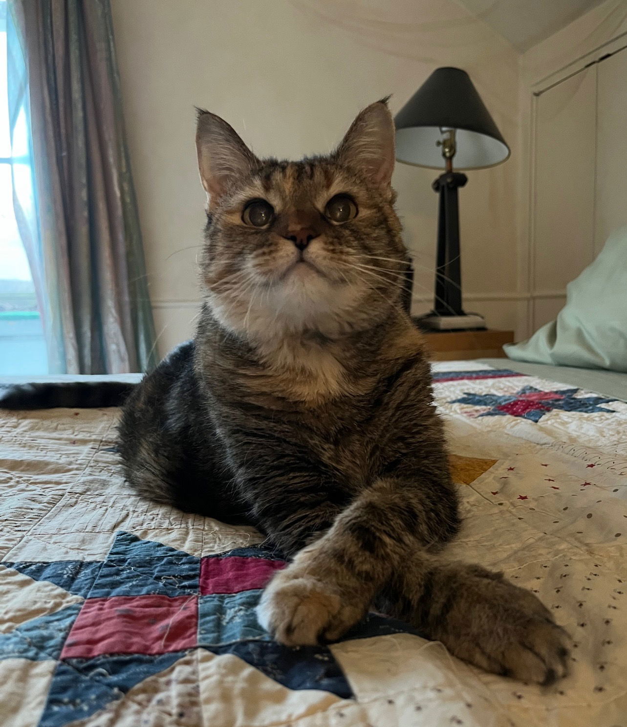 Phoebe
