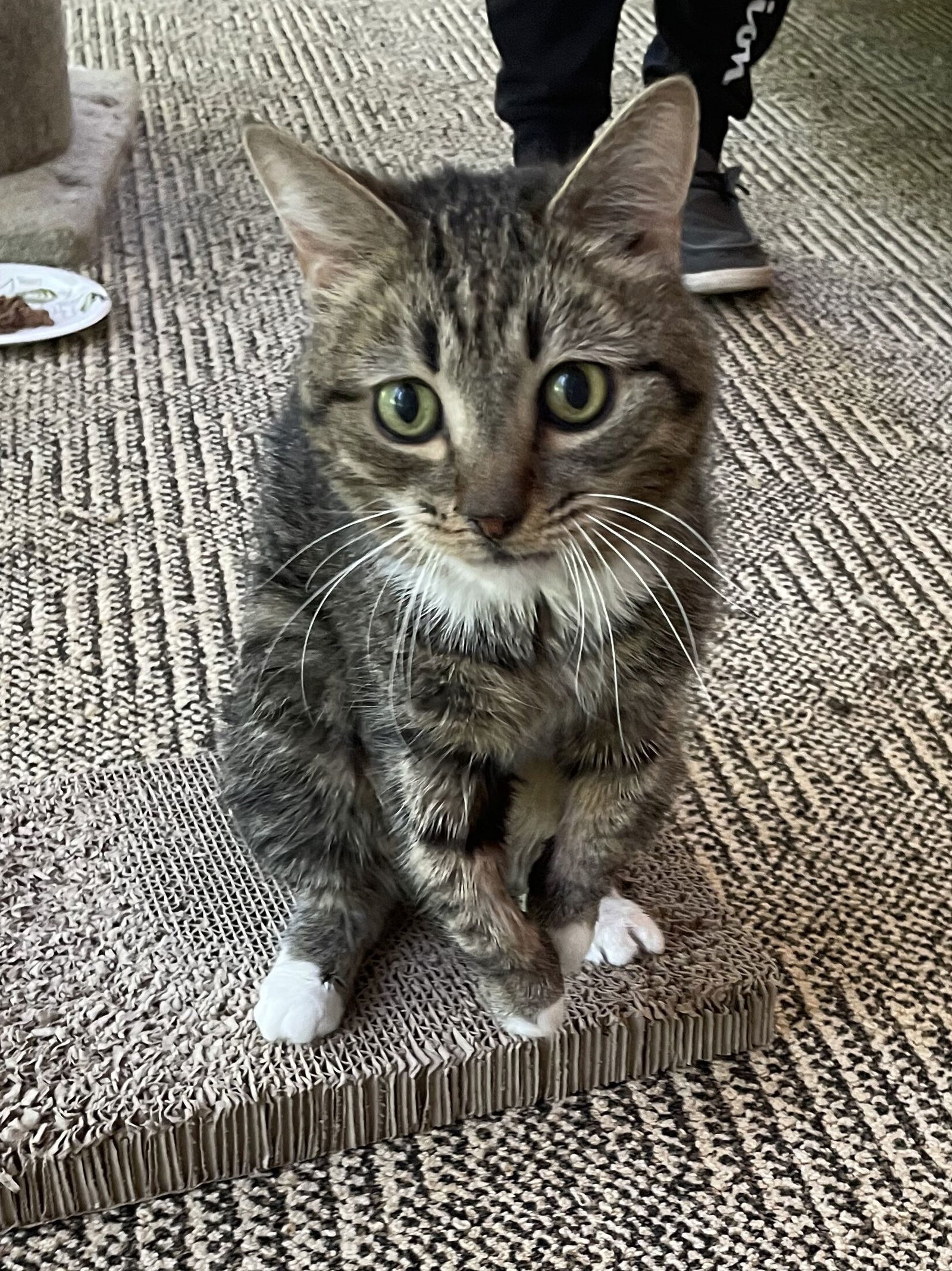 Percy