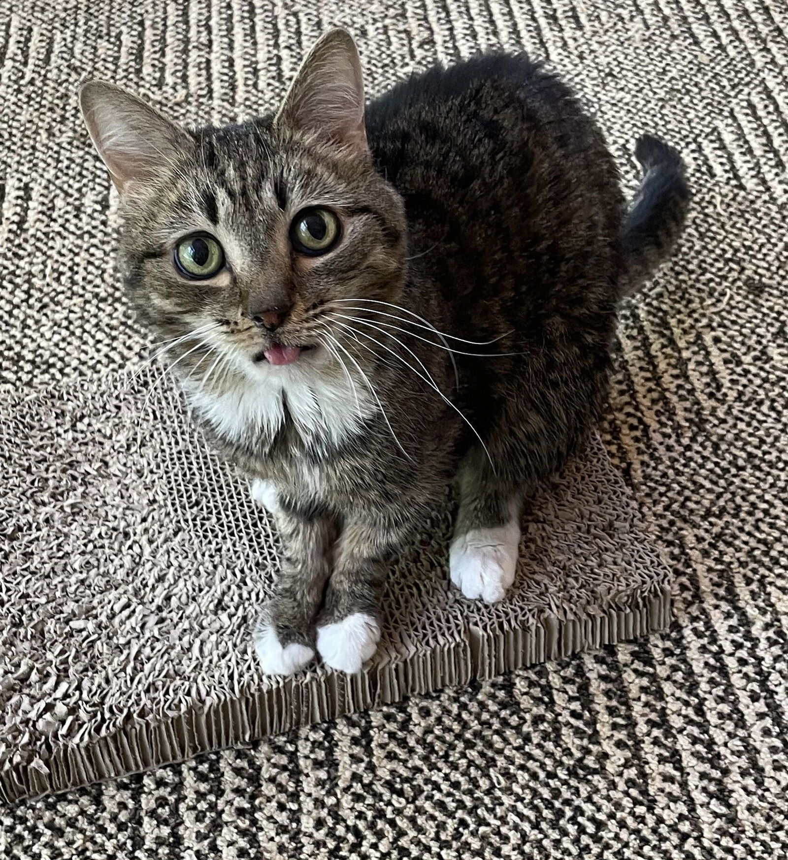 Percy