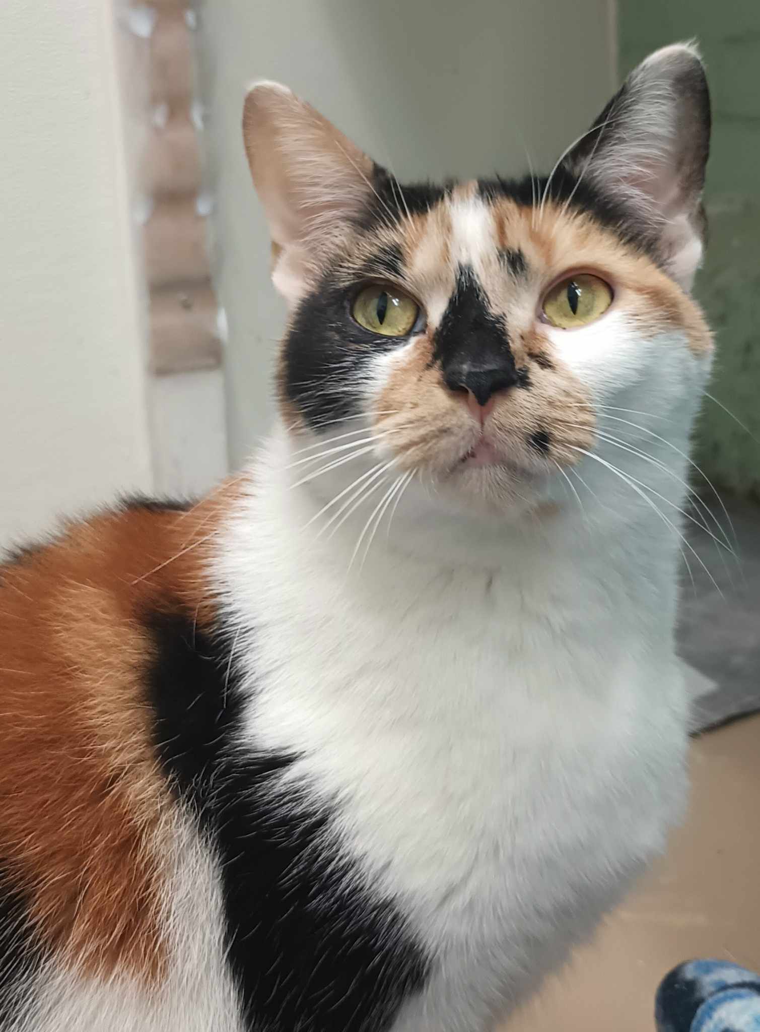 Quinn