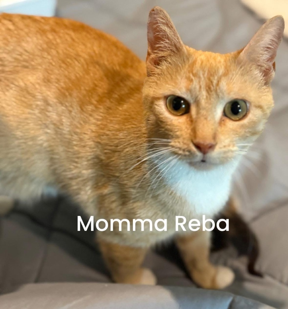 REBA Mama