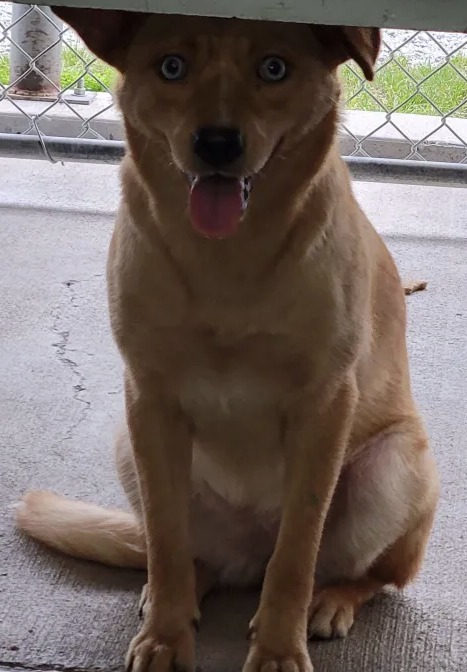Bella