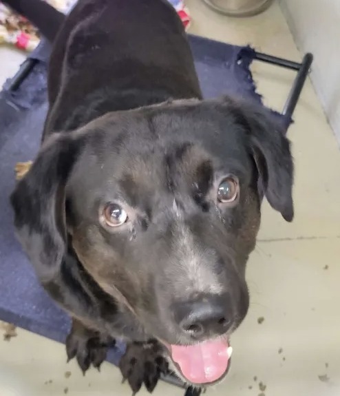 Max